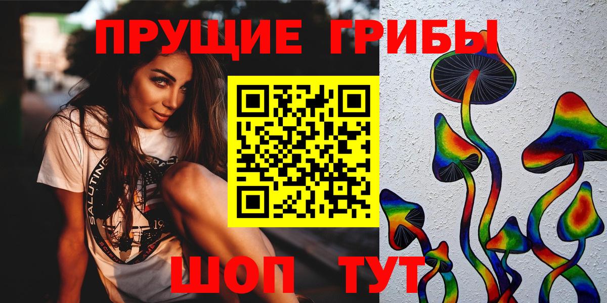 хочу   Псилоцибиновые грибы Magic Shrooms  Вход с VPN  Северск 